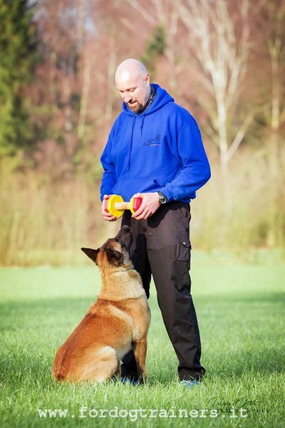 Cane con manubrio in legno da addestramento