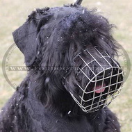 Museruola per Terrier Nero Russo Museruola per Terrier Nero Russo