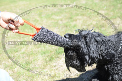 Cane con riporto da mordere in tela francese di elevata resistenza