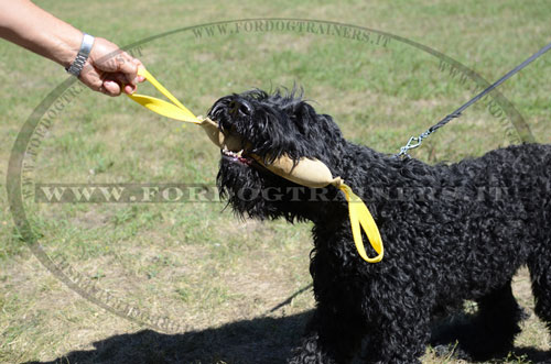 Riporto da mordere con una maniglia da addestramento del cane