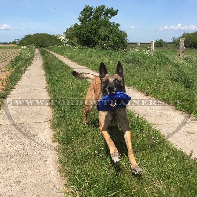 Ciambella da addestramento in tela francese per cane