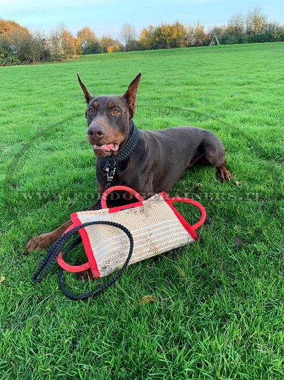 Cuscino da mordere con tre maniglie per dobermann