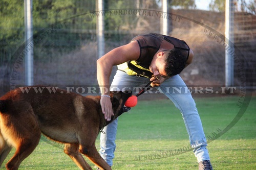 Palloncino rosso per cane