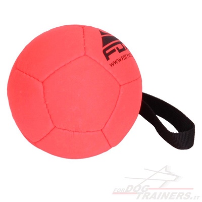 Palloncino rosso per cane