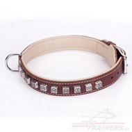Collare originale con decorazioni per cane Collare originale con decorazioni per cane