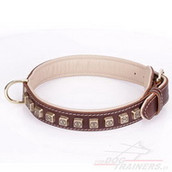 Collare originale con decorazioni in ottone per cane Collare originale con decorazioni in ottone per cane