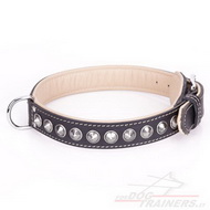 Collare "Cone" con decorazioni cromate Collare "Cone" con decorazioni cromate