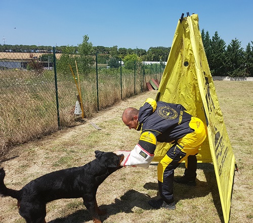 Tuta impermeabile da addestratore del cane