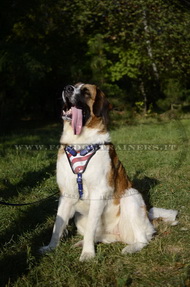 Pettorina con bandiera americana per Guardiano Moscovita Pettorina con bandiera americana per Guardiano Moscovita