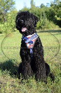 Pettorina in pelle con bandiera americana per Terrier Nero Russo Pettorina in pelle con bandiera americana per Terrier Nero Russo