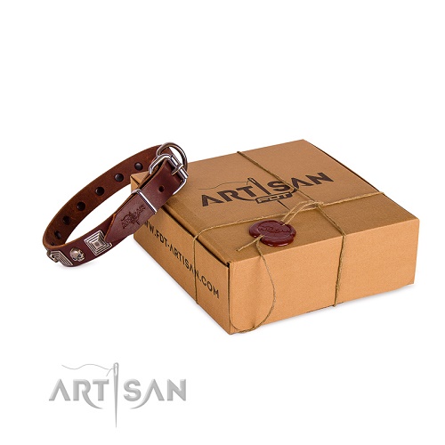 Confezione da regalo del collare in cuoio FDT Artisan per cane