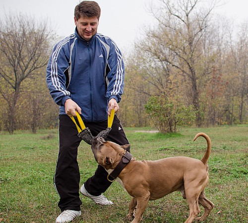 Piccolo morbido salamotto da mordere per giochi con cani e cuccioli