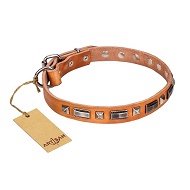 Collare in cuoio con decorazioni miste argentate per cane Collare in cuoio con decorazioni miste argentate per cane