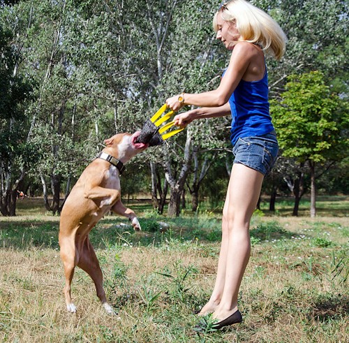 Dummy da mordere per giochi con cani giovani e cuccioli