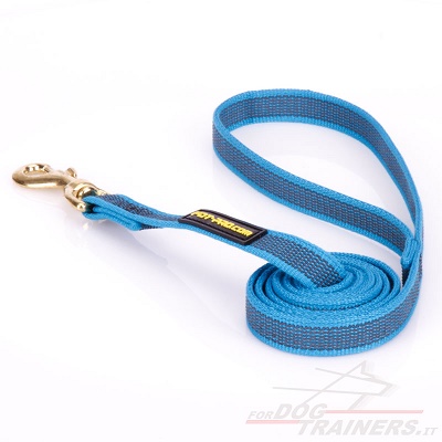 Guinzaglio blu in nylon gommato per passeggiate con cane