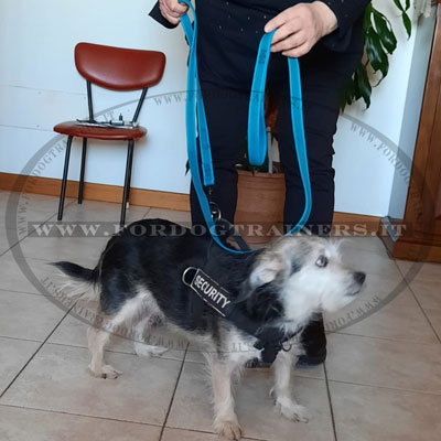 Guinzaglio colore blu in nylon gommato per uscite con cane