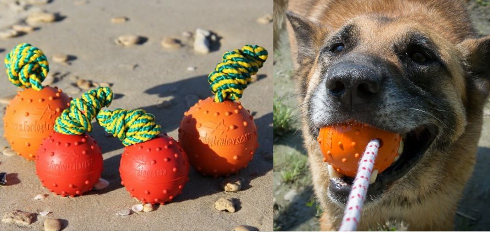 Giocattolo di gomma per cane