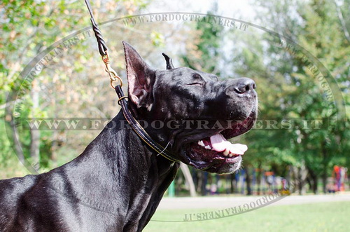 Collare in cuoio a strozzo per Alano