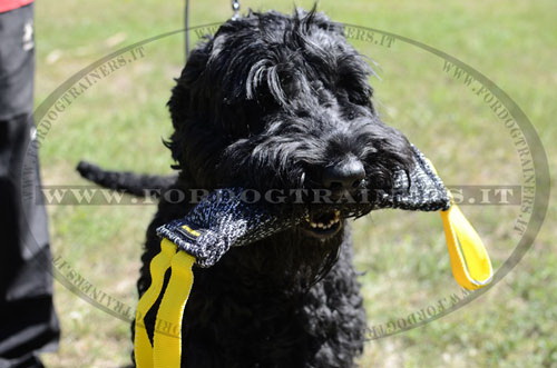 Riporto da mordere in tela francese per Terrier Nero Russo