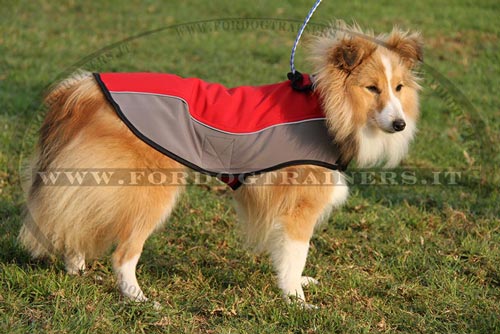 Cappottino di nylon impermeabile per Sheltie