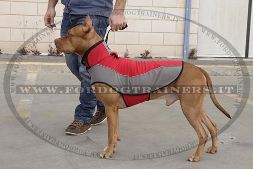 Cappottino di nylon impermeabile per Pitbull