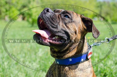 Collare dipinto "Bandiera americana" per Boxer - Click Image to Close