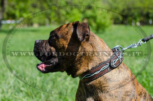 Collare dipinto a mano "Filo spinato" per Boxer