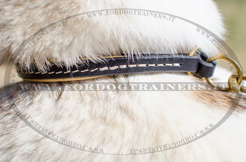 Collare in cuoio a strozzo per Laika della Siberia Occidentale