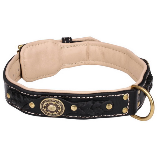 Collare originale in cuoio con fodera nera per cane