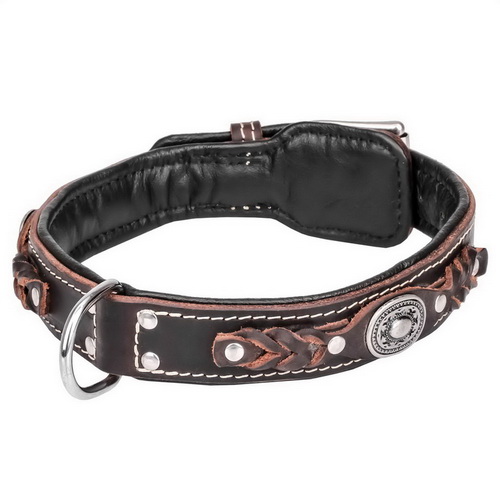 Collare originale in cuoio con borchie cromate per cani