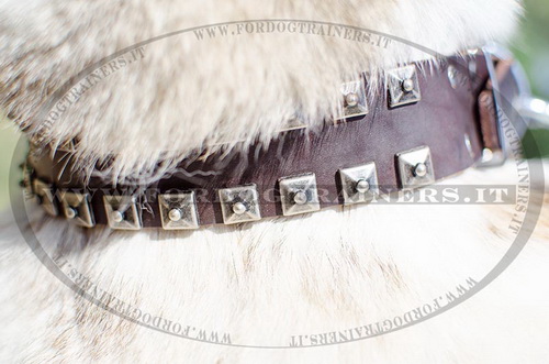 Collare con piramidi per Laika della Siberia Occidentale