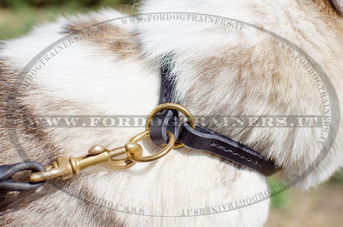 Collare a strozzo per Laika della Siberia Occidentale