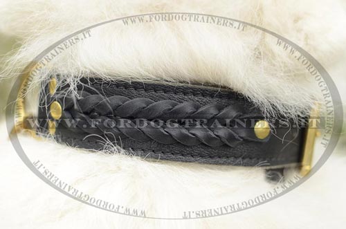 Collare con intrecciamento decorativo per Samoiedo