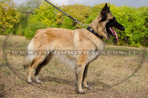 Collare decorativo con pietre azzurre per Tervueren