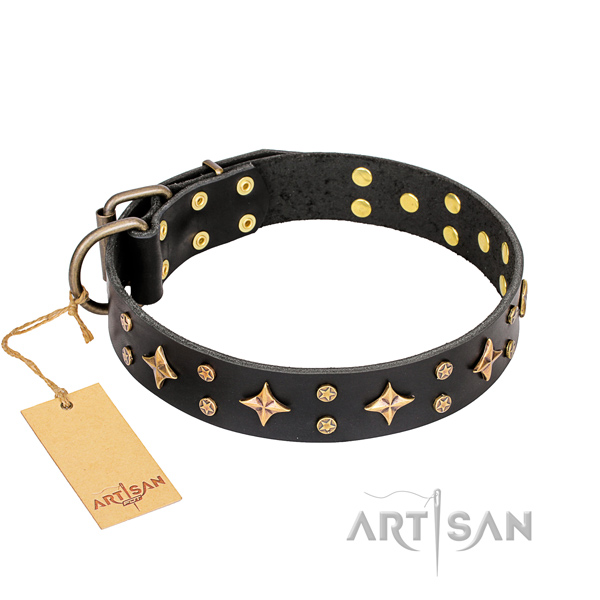 Collare nero "A La Mode" FDT Artisan per cane