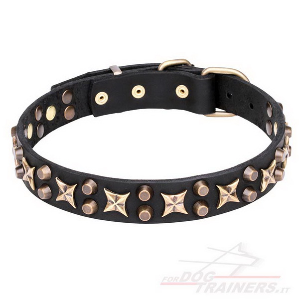 Collare con borchie a stellina "Hollywood Star" per cane