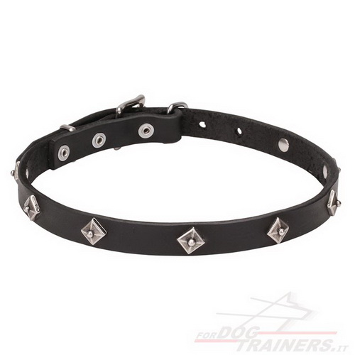 Collare stretto "Cosmic Stars" con piastre cromate per cane