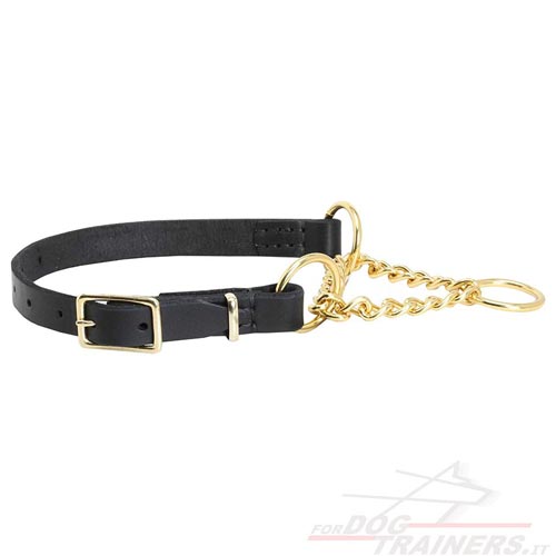Collare di pelle e di ottone per cane