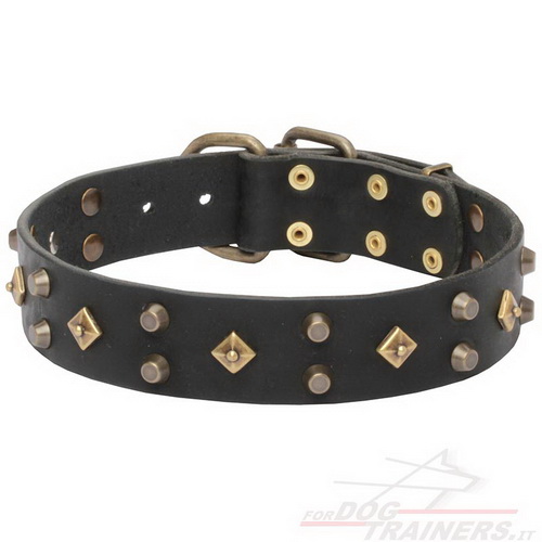 Collare con borchie gialle di ottone per cane