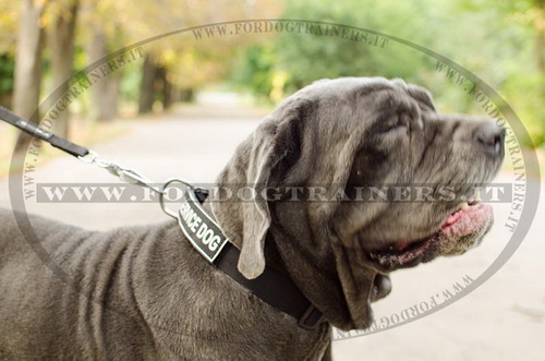 Collare regolabile in nylon per Mastino Napoletano