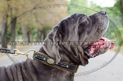 Collare originale per Mastino Napolitano