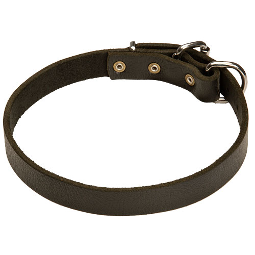 Collare classico in pelle, larghezza 25 mm