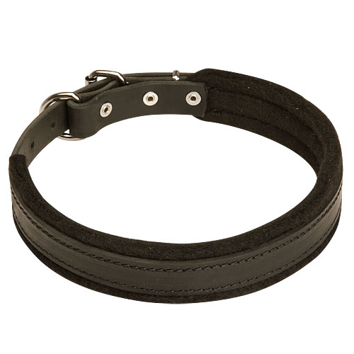 Collare classico in pelle, larghezza 25 mm