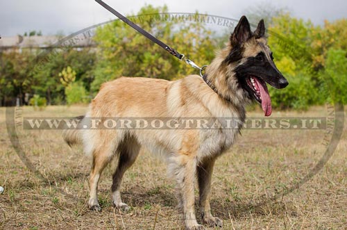 Collare con piramidi per Tervueren