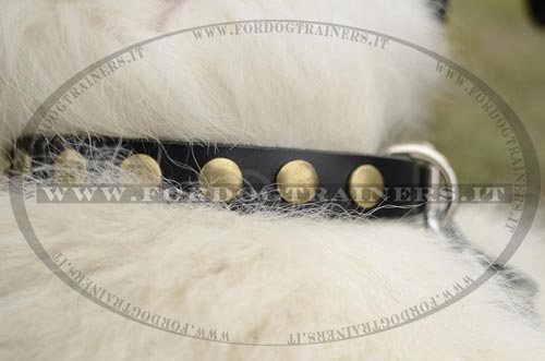 Collare in pelle con borchie rotonde per Samoiedo