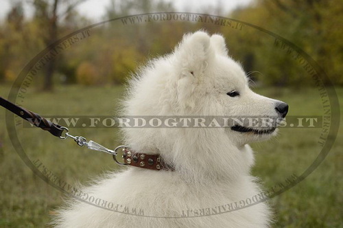 Collare in cuoio con borchie a semisfera