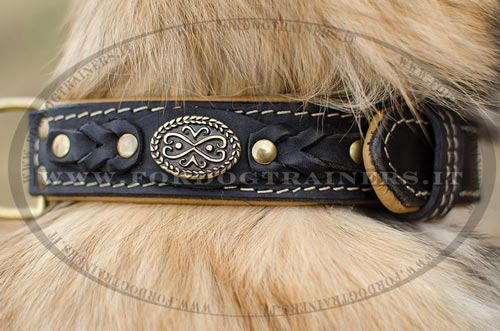 Collare originale per Tervueren