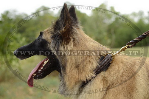 Collare con intrecciamento per Tervueren