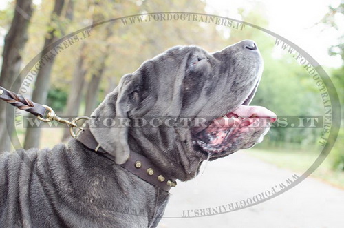 Collare decorativo con borchie a piramide per Mastino Napoletano - Fai un click sull'immagine per scegliere -