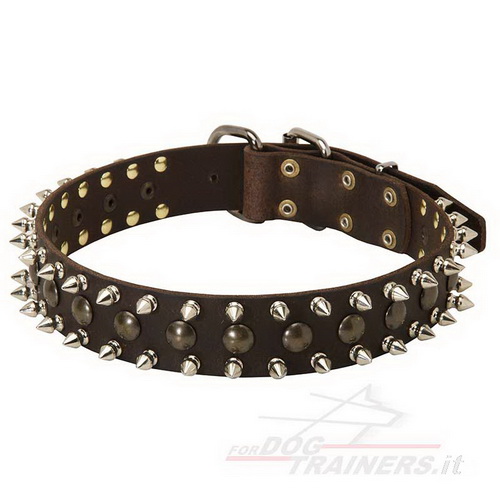 Collare in cuoio con borchie decorative per cane Collare in cuoio con  borchie originali per cane [S55##1061 Collare in cuoio] - €57.40 :  fordogtrainers, negozio per cani, accessori per cani, articoli per